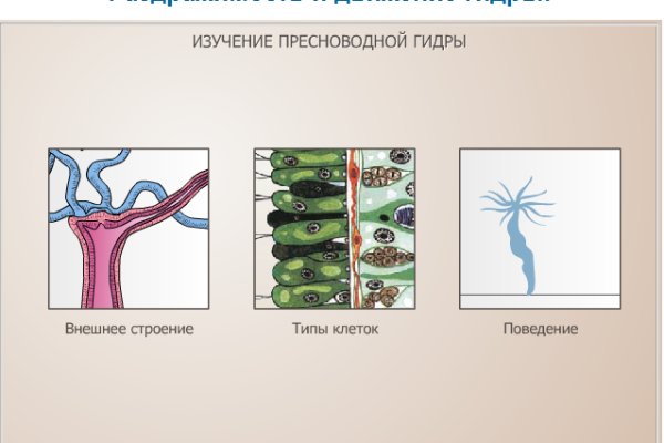Площадки в даркнете