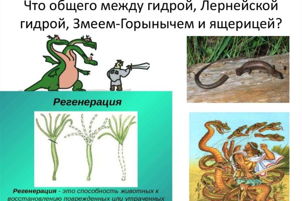 Кракен сайт