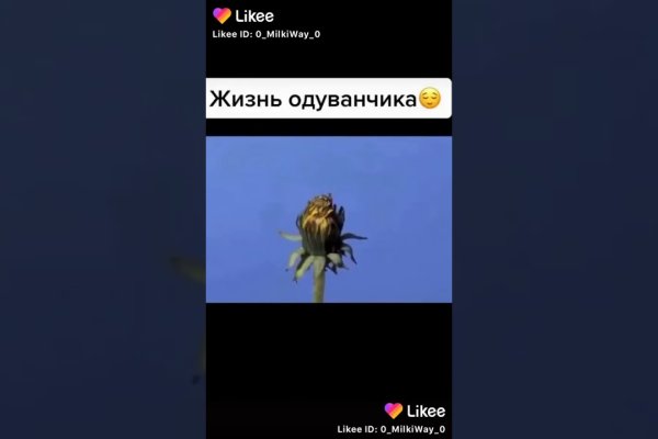 Короткая ссылка на кракен