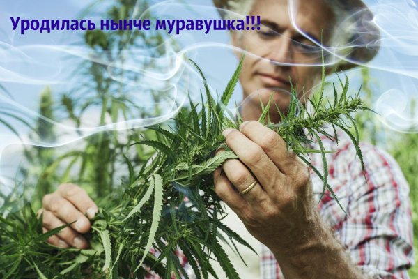 Кракен ссылка зеркало