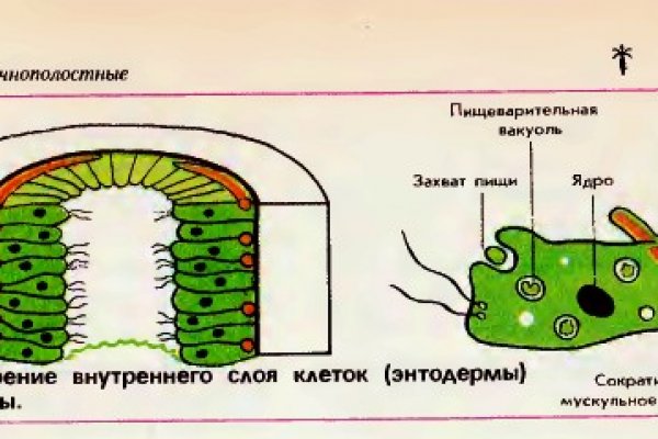 Вход в кракен чтобы купить меф
