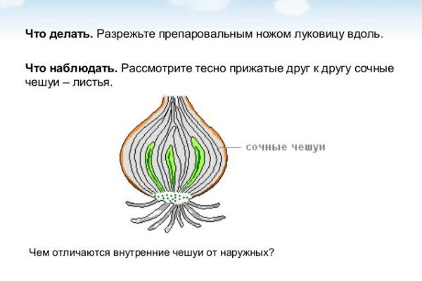 Кракен зеркало прокатис