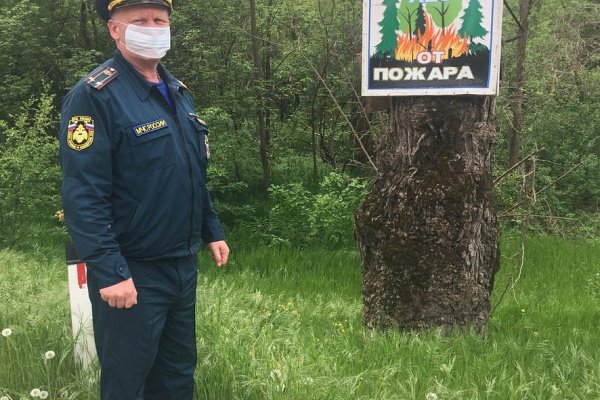 Kraken даркнет рынок