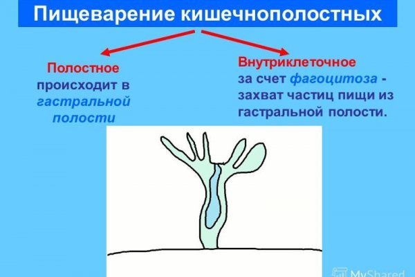 Кракен сайт работает
