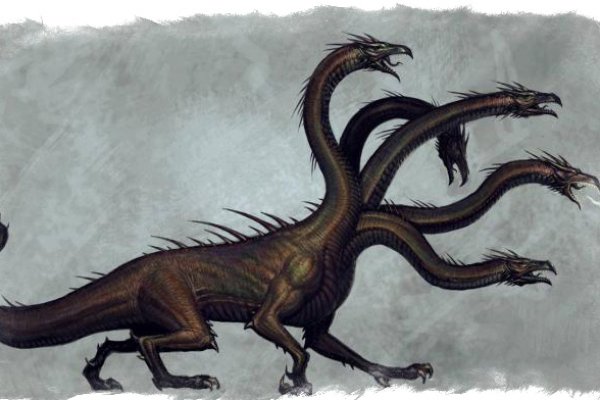 Kraken 24 at